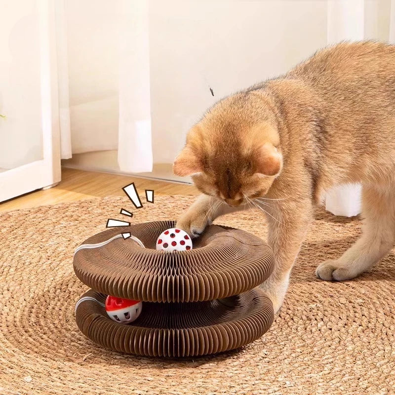 Cat Scratcher And 2 In 1 Interactive Puzzle Playset