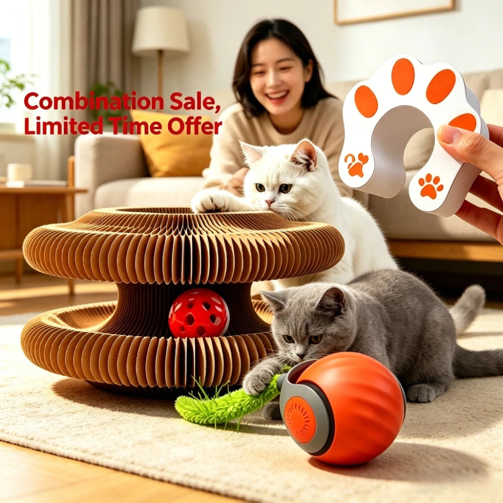 Cat Scratcher And 2 In 1 Interactive Puzzle Playset