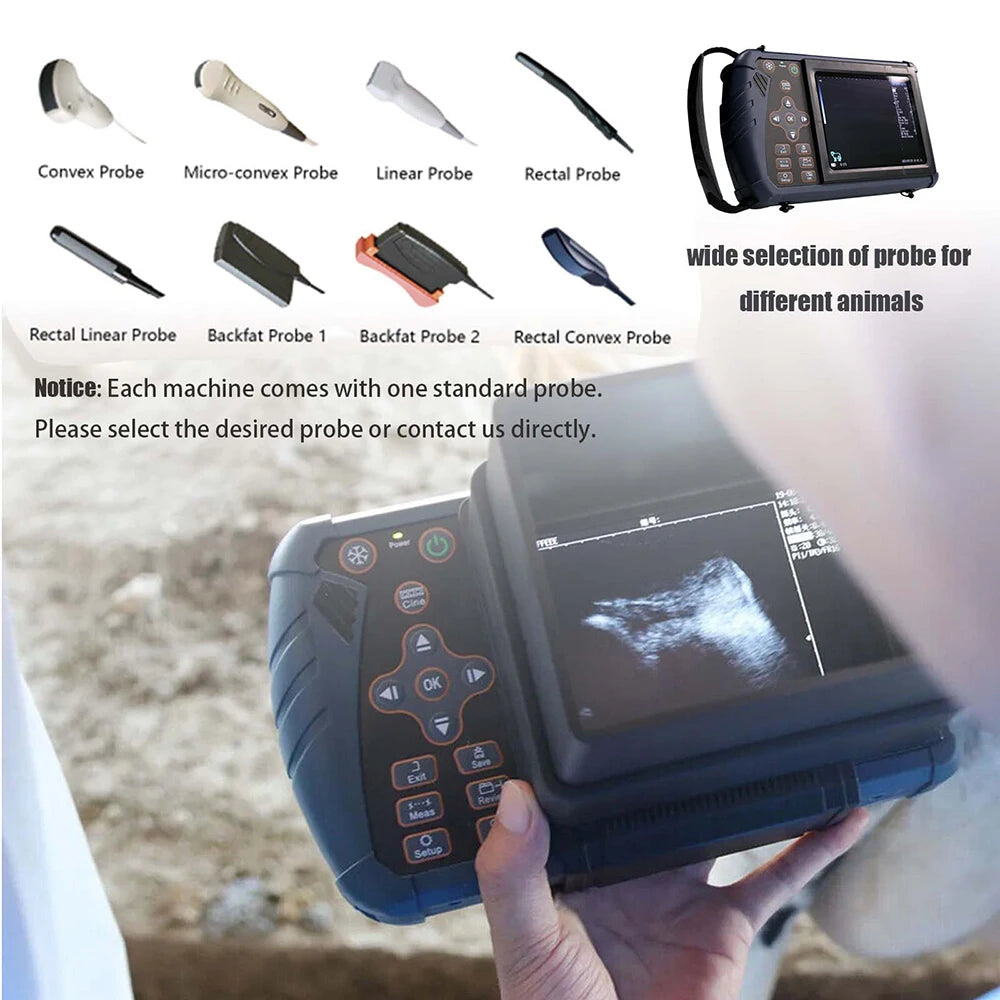 DAWEI Portable Veterinary Ultrasound Scanner For Livestock Pregnancy