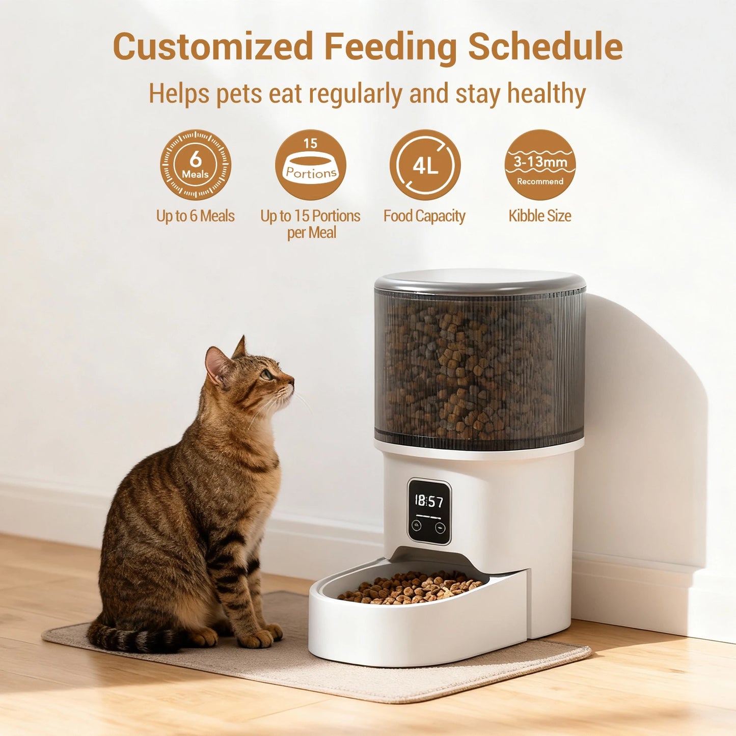 Acekool Automatic Cat Feeder With Timer And Portion Control