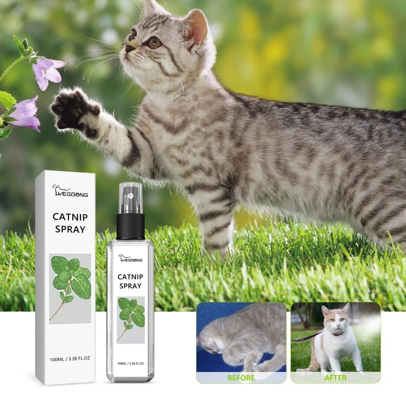 Catnip Spray For Cats Anxiety Relief And Vitality Daily