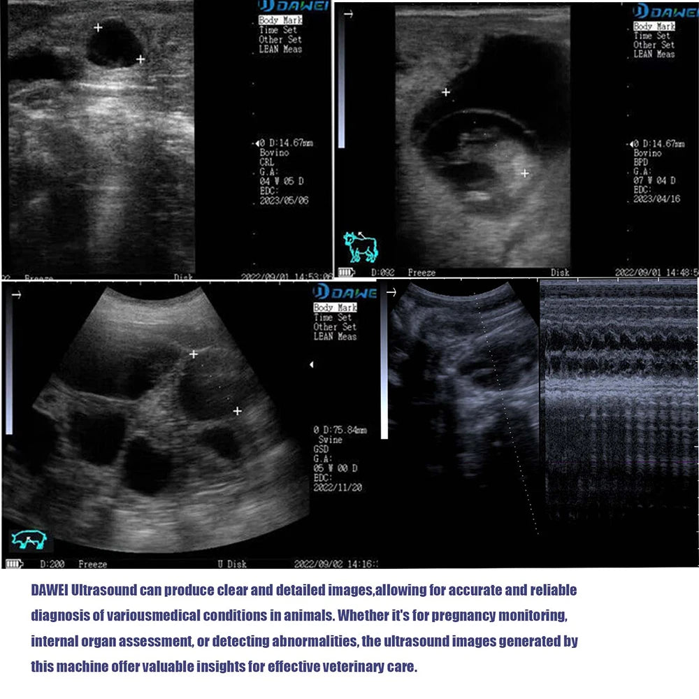 DAWEI Portable Veterinary Ultrasound Scanner For Livestock Pregnancy
