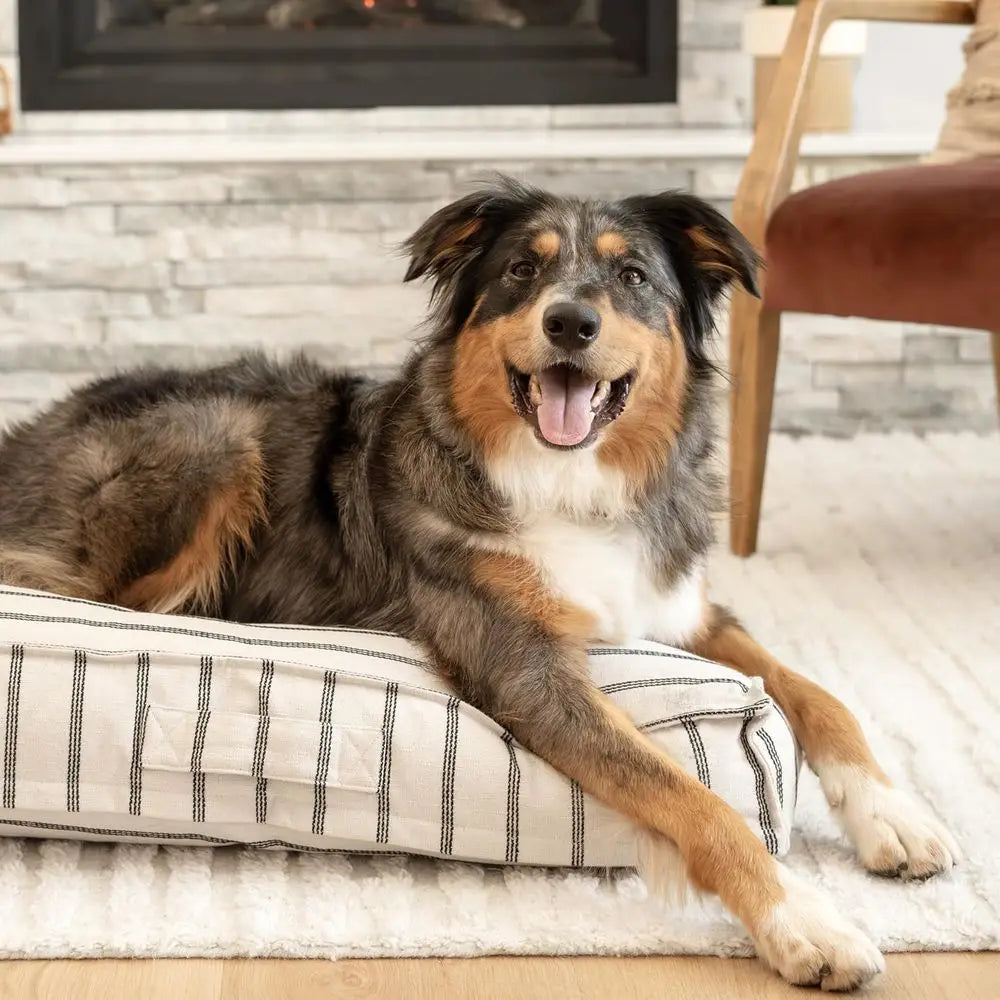 Luxury Washable Pet Bed With Recycled Fill For Pets