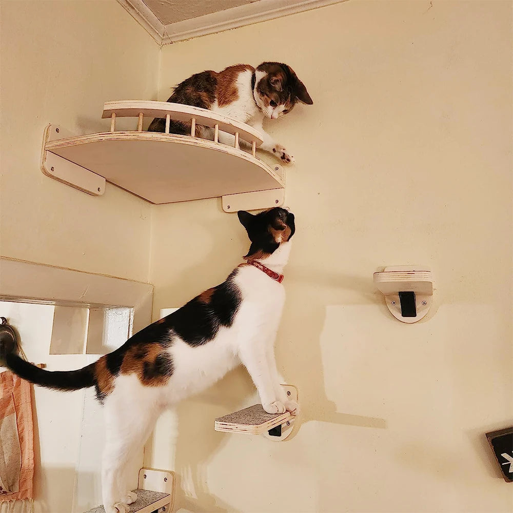 PETRAVELCN Cat Climbing Wall Shelf Four Step Scratching Post