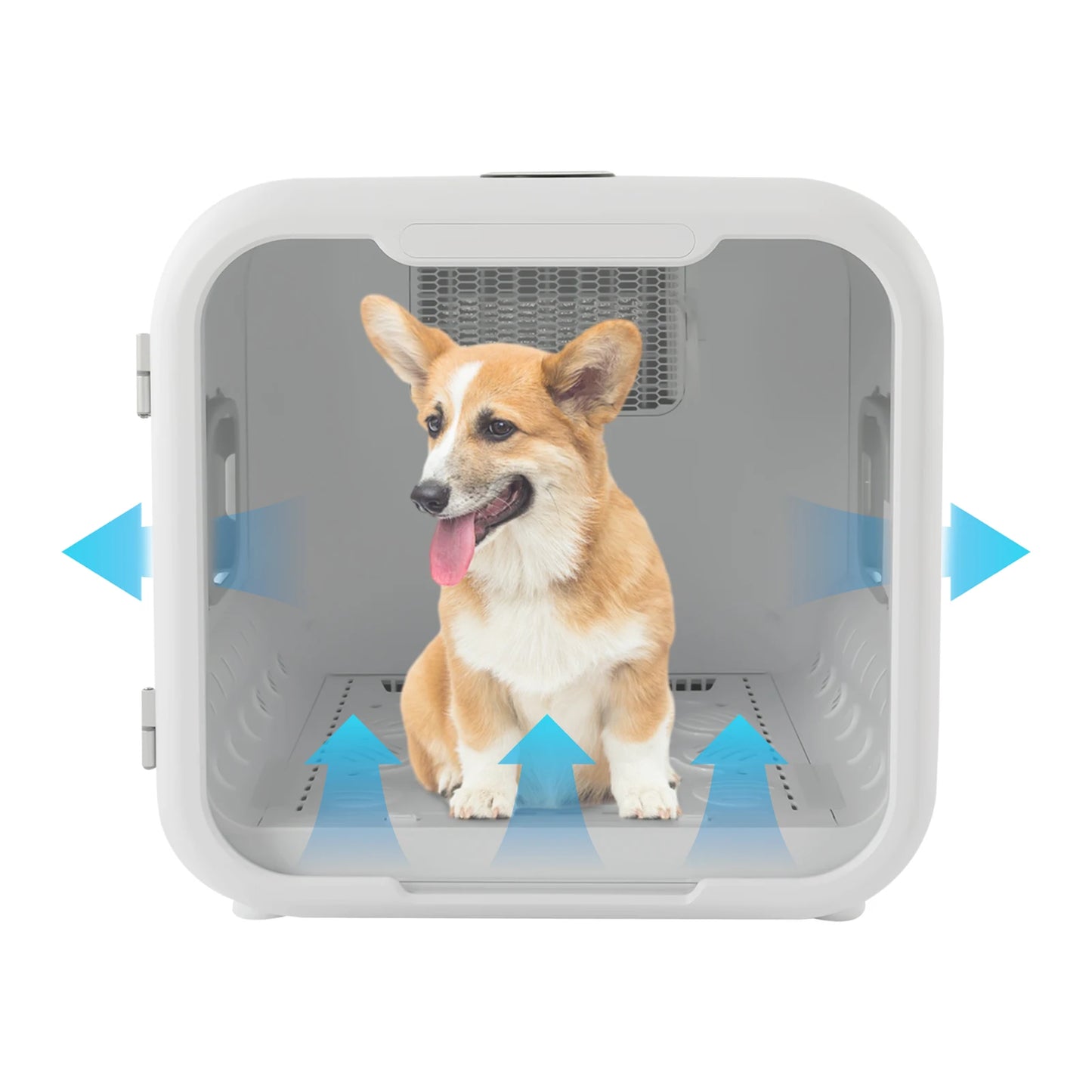 Pet Dryer Box 800W Grooming Hair Dryer For Cats