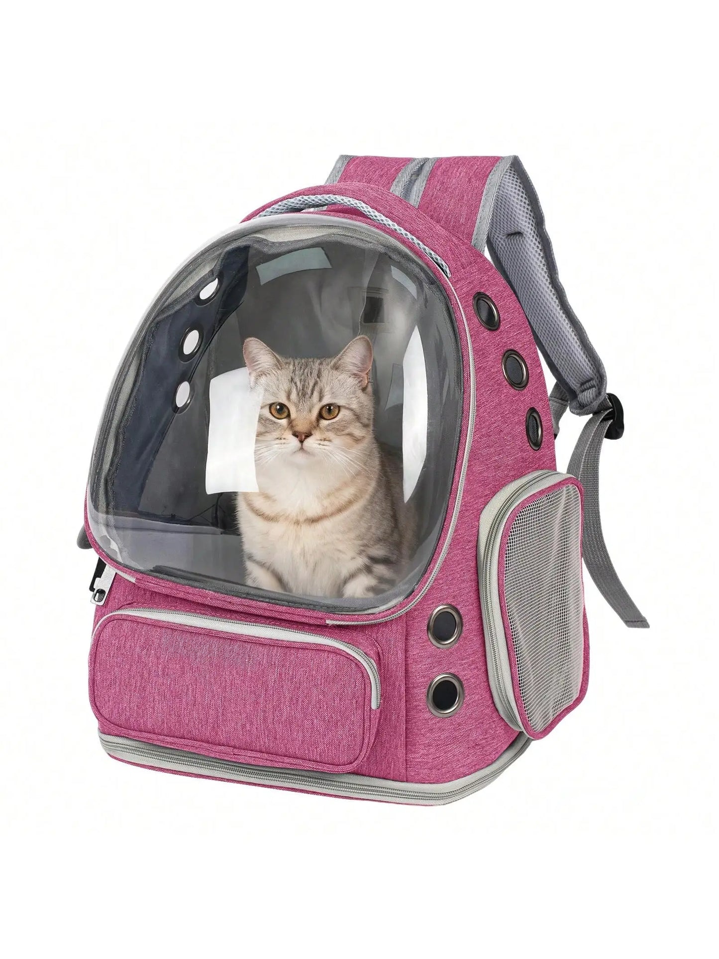 Transparent Pet Backpack Carrier for Small Cats and Dogs, Ventilated Plastic Travel Bag with Zipper Closure for Outdoor Use