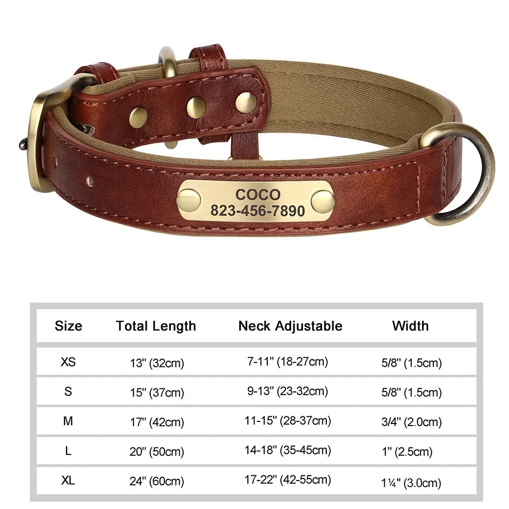 COOYOMOO Personalized Leather ID Nameplate Dog Collar Padded Comfort Engraving