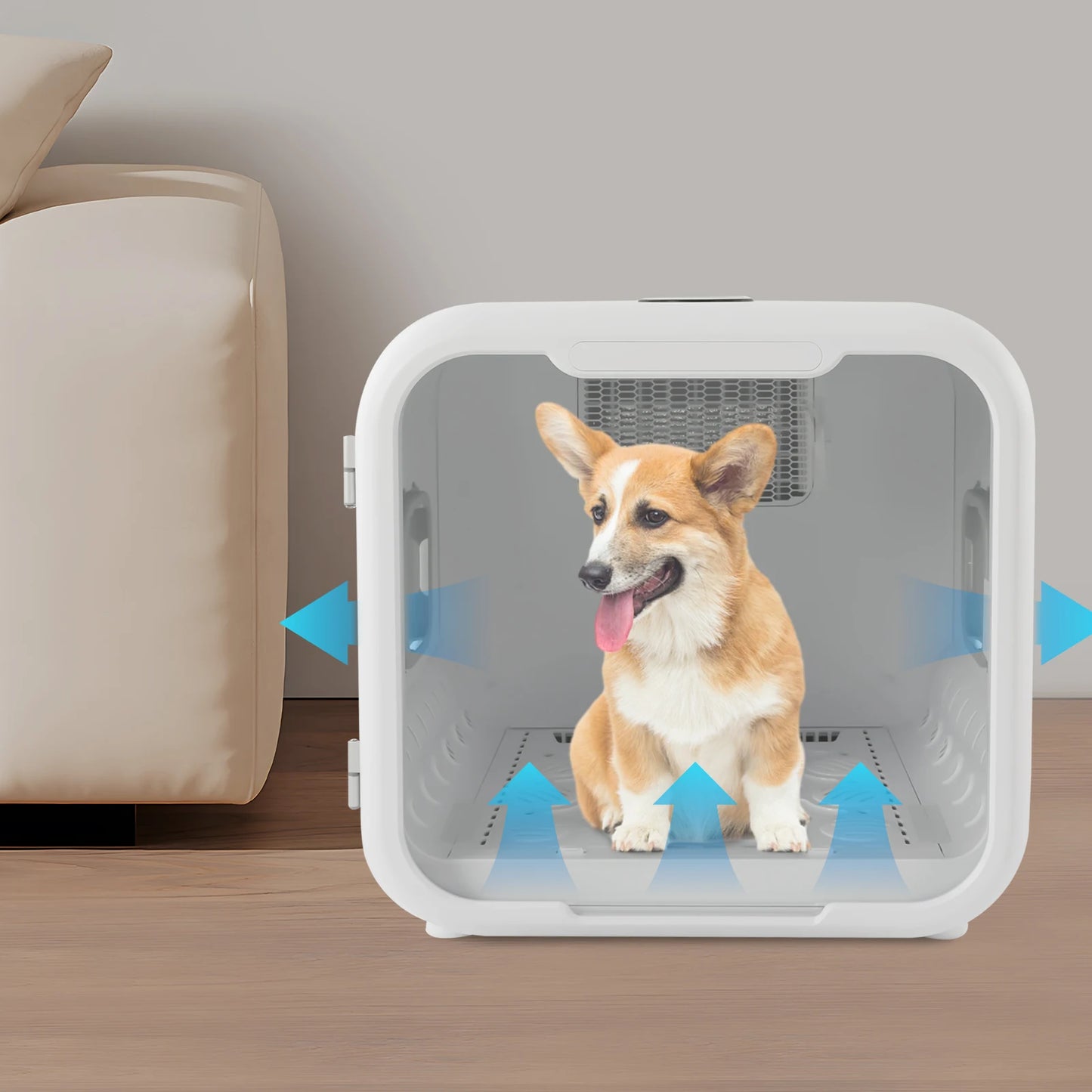 Pet Dryer Box 800W Grooming Hair Dryer For Cats