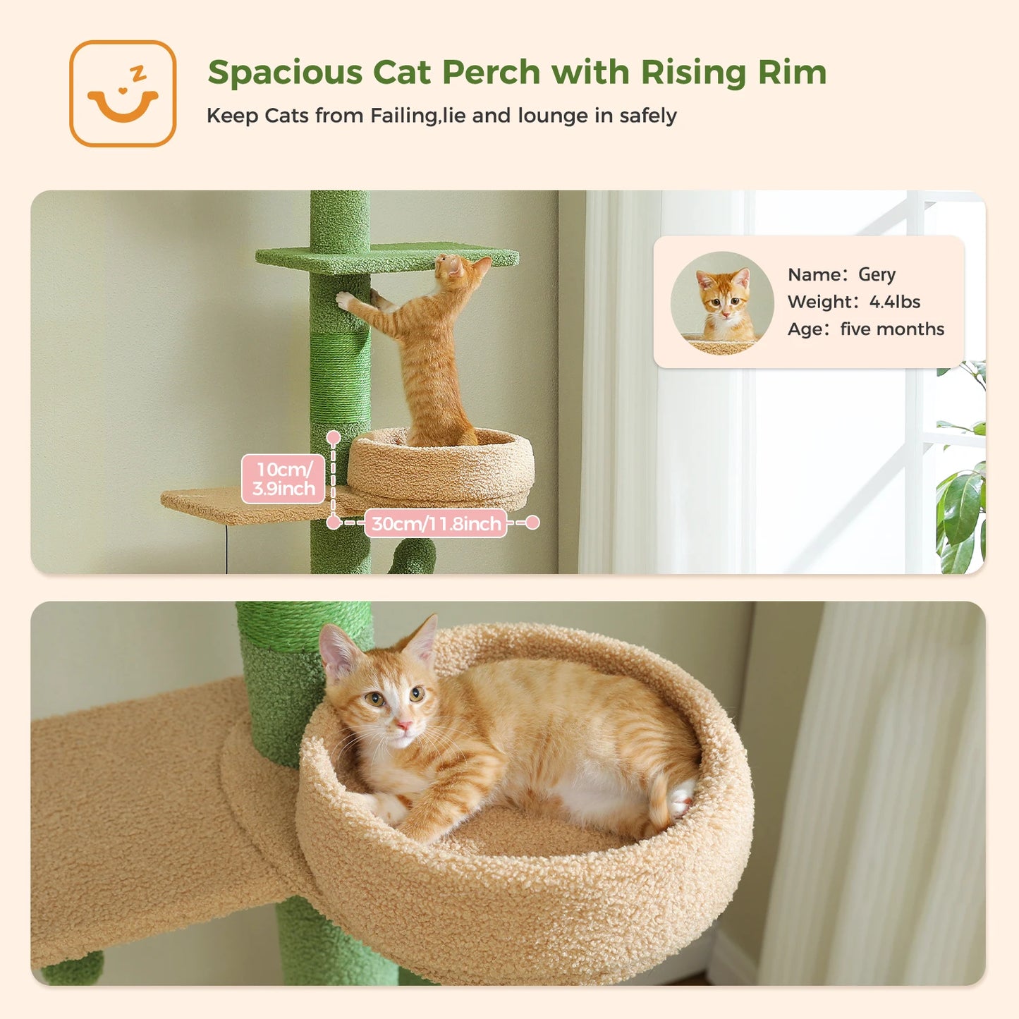 PEQULTICN Adjustable Cactus Cat Tree Indoor Tower Sturdy