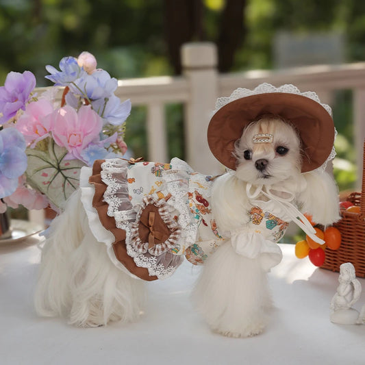 Dog Lace Dress And Maid Hat Set For Small Dogs Autumn Winter