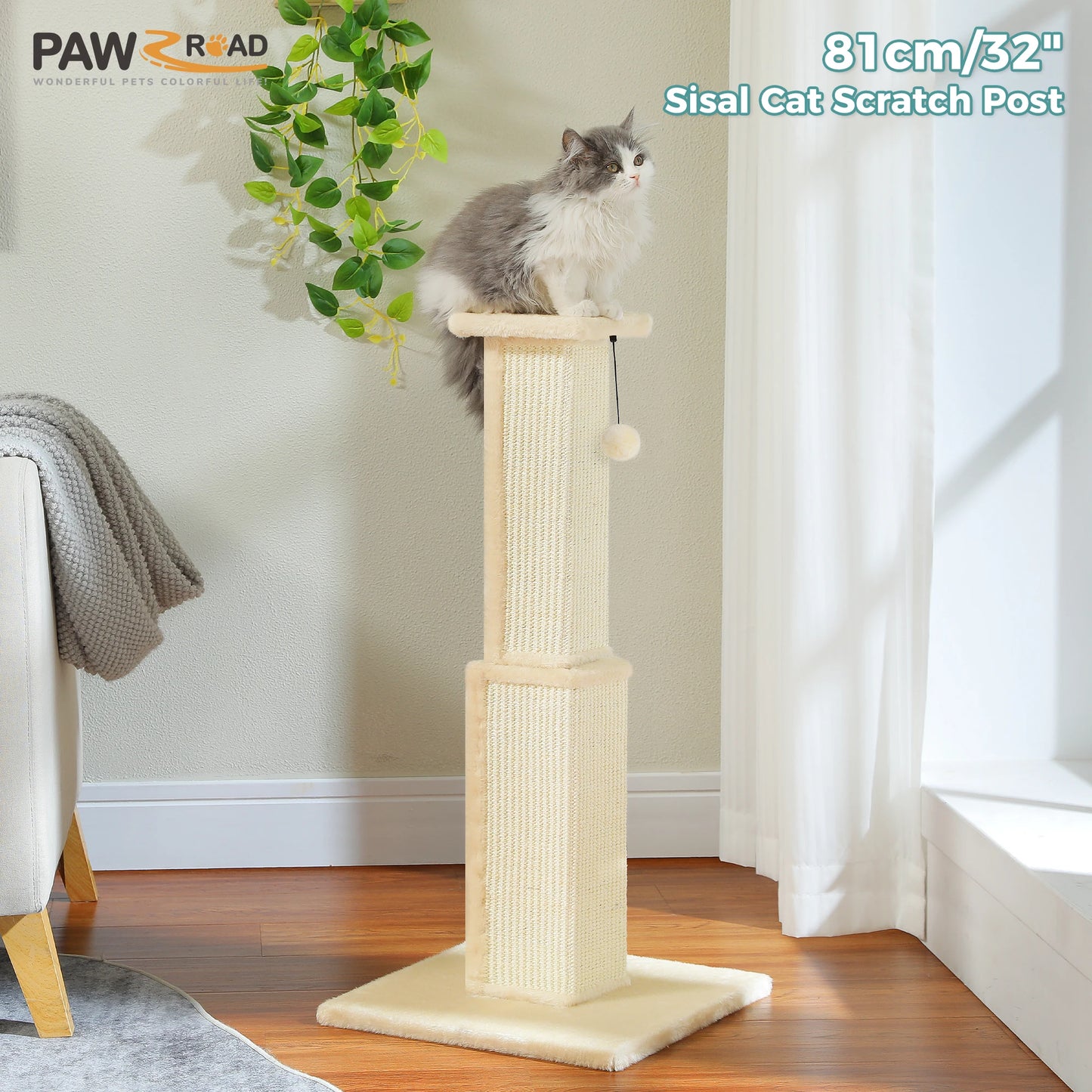 PAWZ Road Cat Scratching Post for Indoor Cats