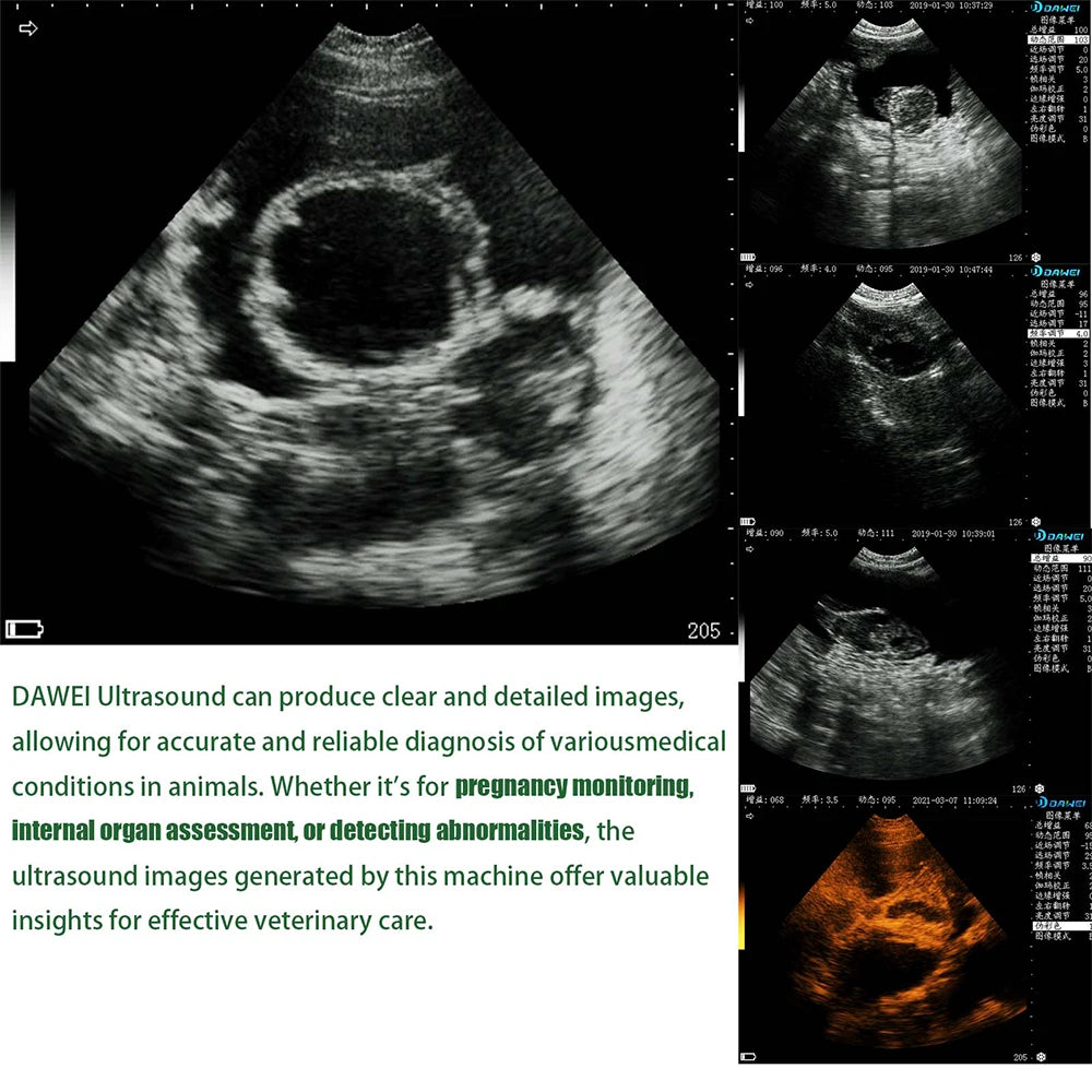 DAWEI Portable Veterinary Ultrasound Scanner for Pregnancy with 3.5MHz Probe