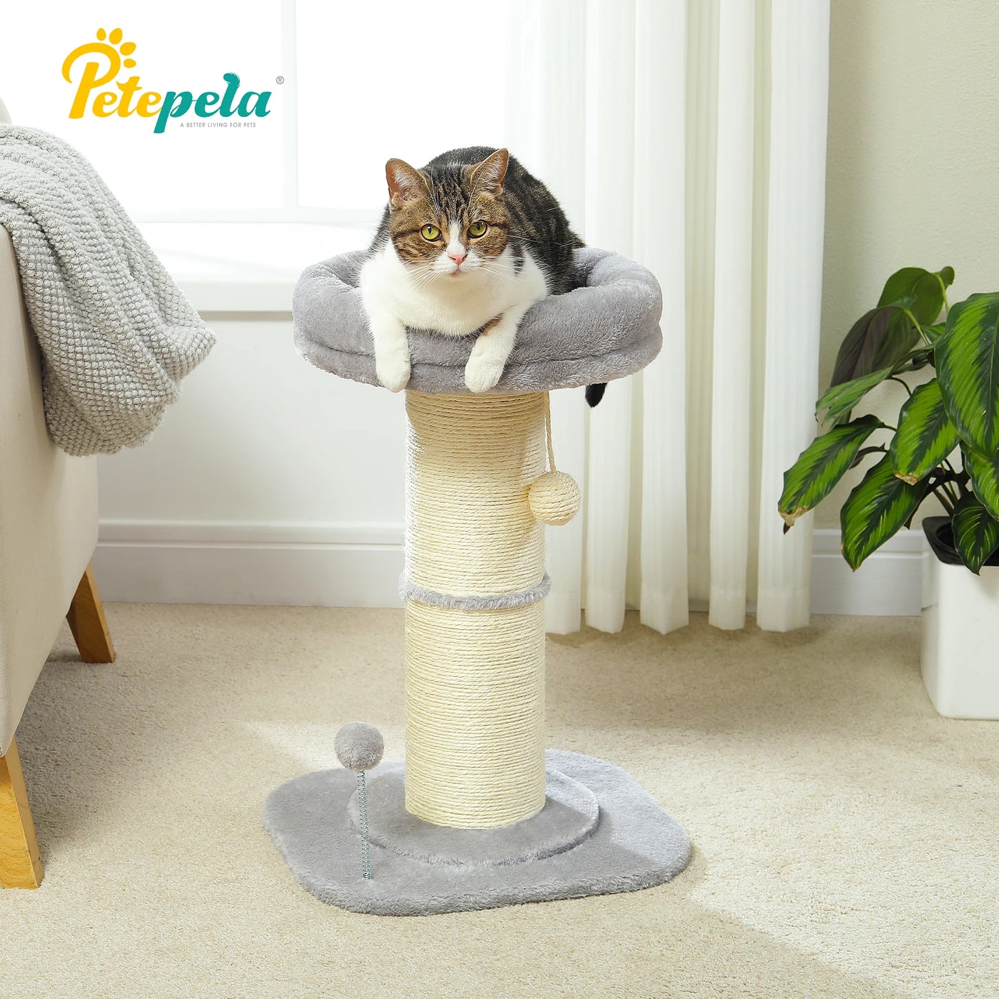 PAWZ Road Flower Cat Tree Scratching Post Indoor Use