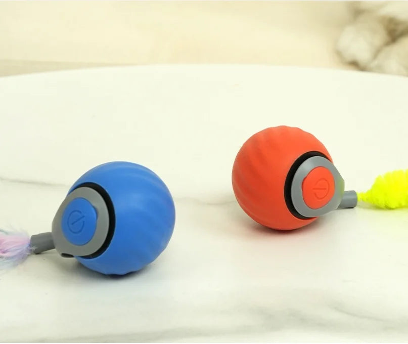 Cat Scratcher And 2 In 1 Interactive Puzzle Playset