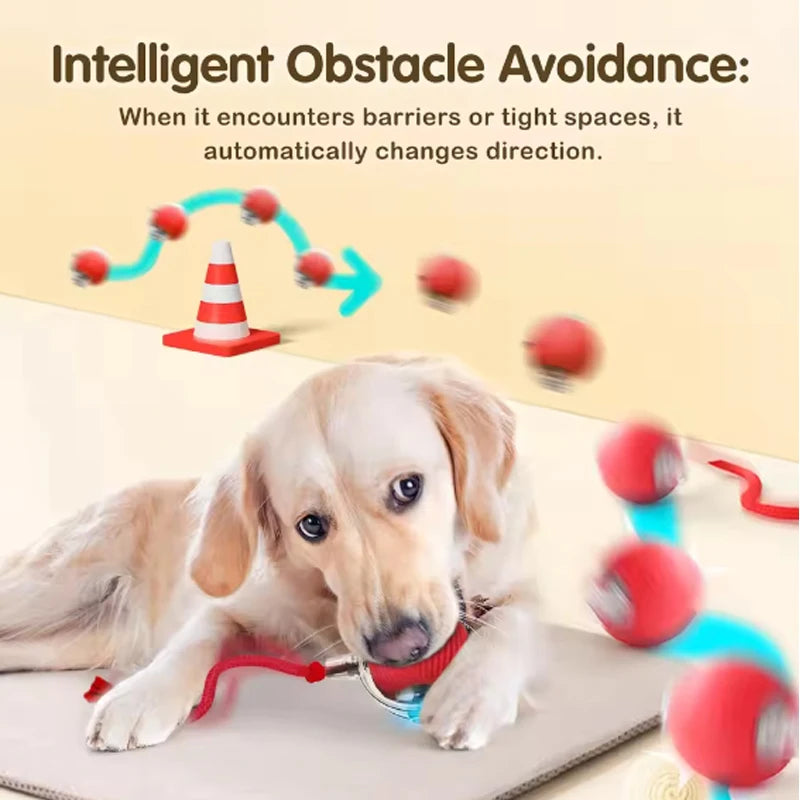 Smart Cat Ball Toy Silicone Interactive Auto Motion For Cats