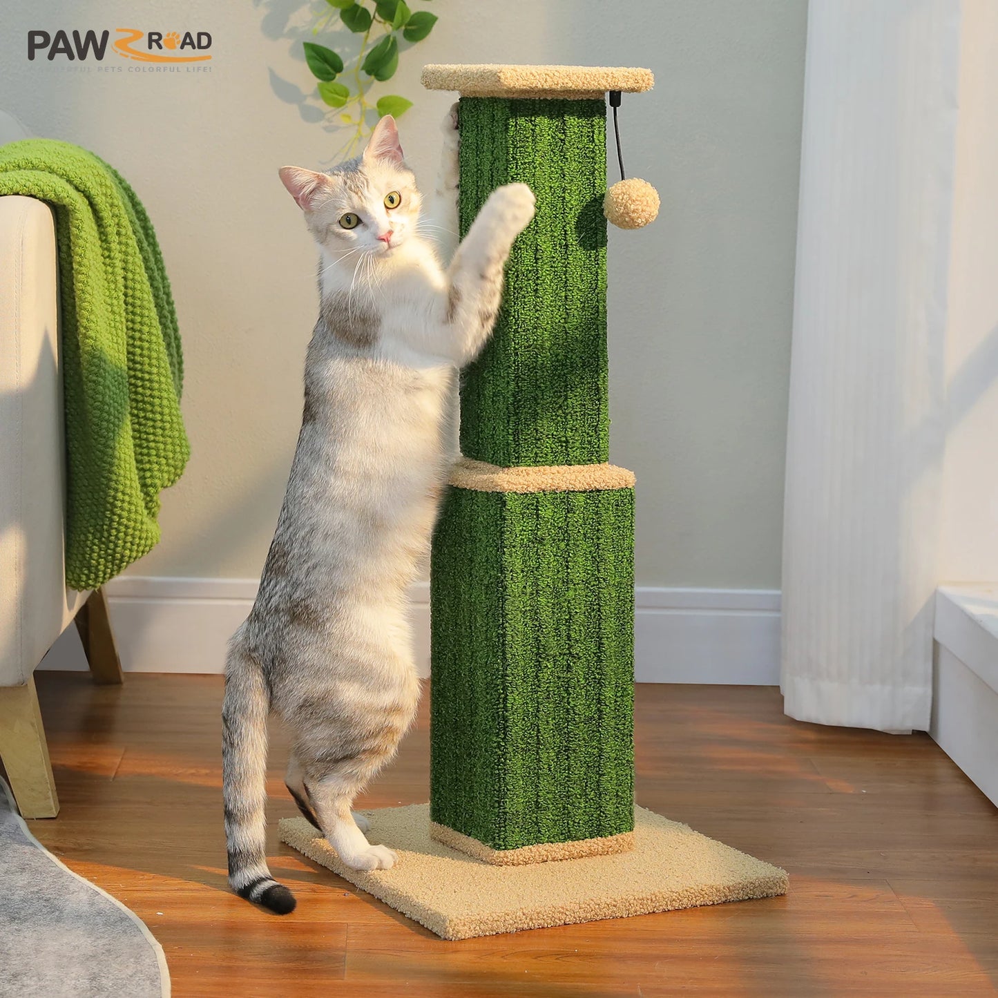 PAWZ Road Cat Scratching Post for Indoor Cats