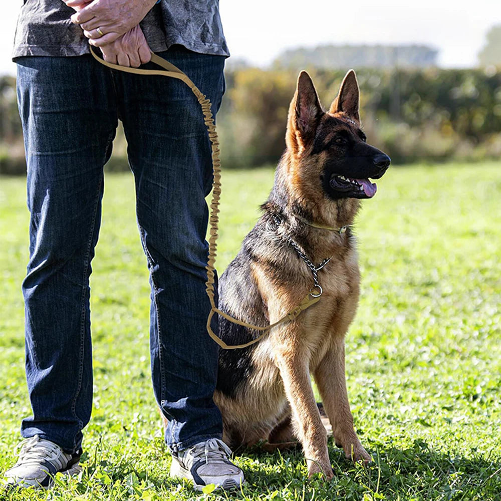 PETRAVELCN Military Dog Leash Quick Release With Two Handles