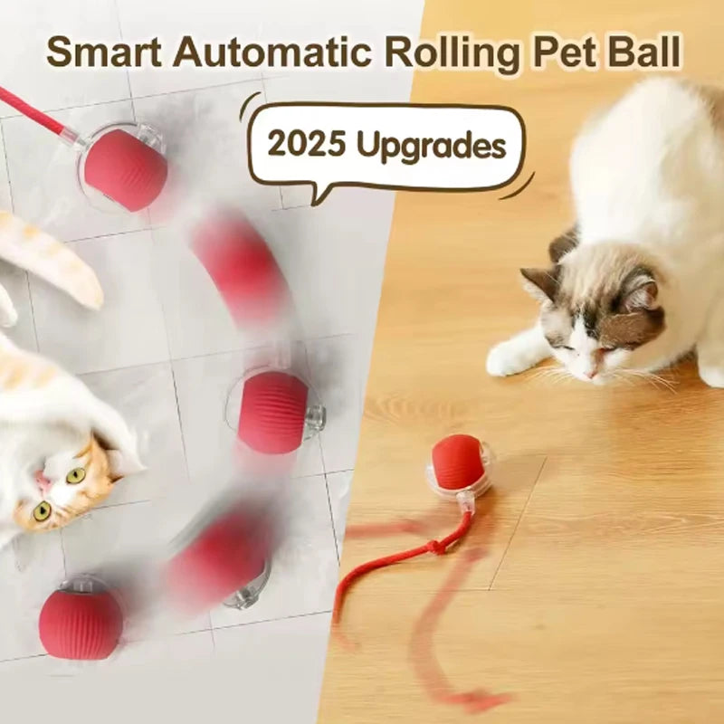 Smart Cat Ball Toy Silicone Interactive Auto Motion For Cats