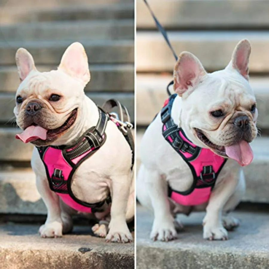 Pull Dog Harness, Choke Front Lead Dog Reflective Harness, Adjustable Soft Padded Pet Vest with Easy Control Handle for Small t
